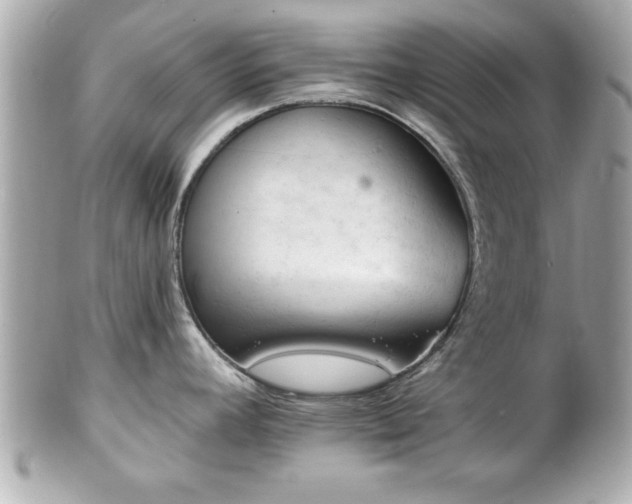 X0000102491392200808151445