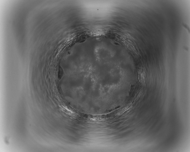 X0000102491393200808151444