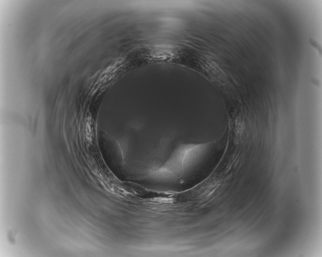 X0000102491394200808151445