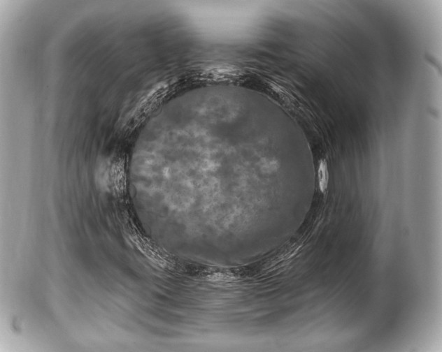 X0000102491395200808151445