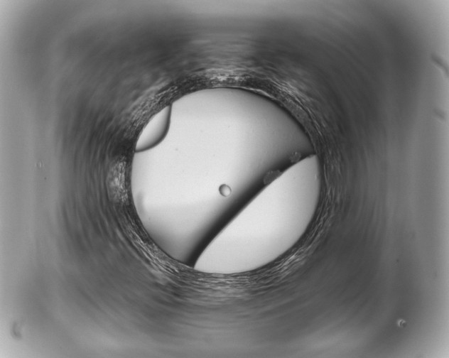 X0000102491396200808151445