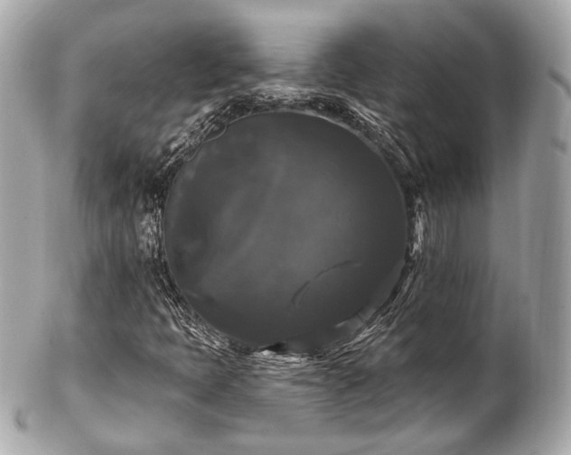 X0000102491397200808151445