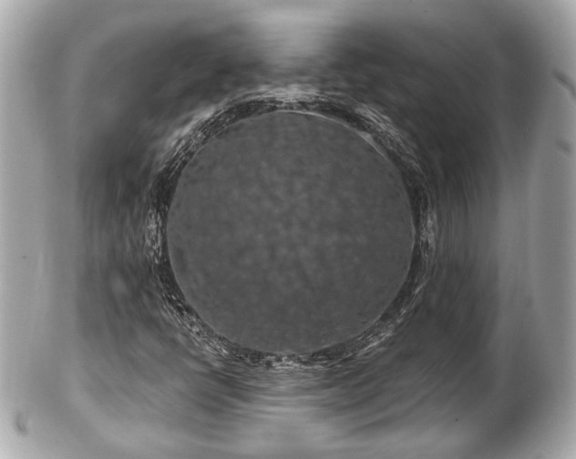 X0000102491398200808151445