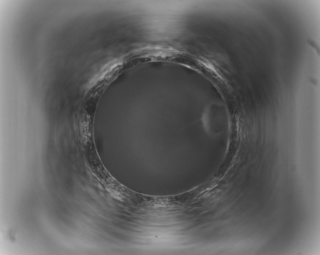 X0000102491399200808151445