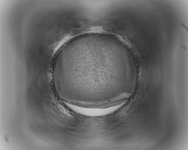 X0000102491400200808151445