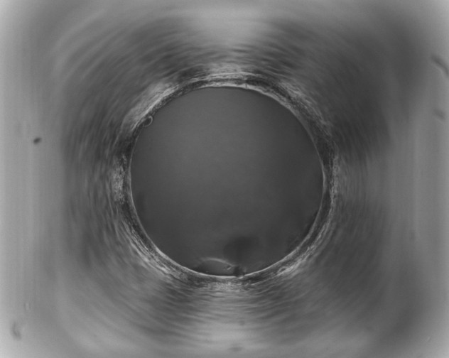 X0000102491401200808151445