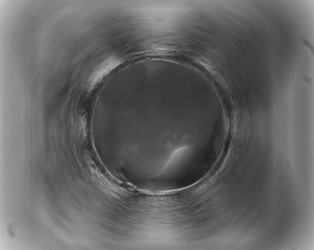 X0000102491402200808151445