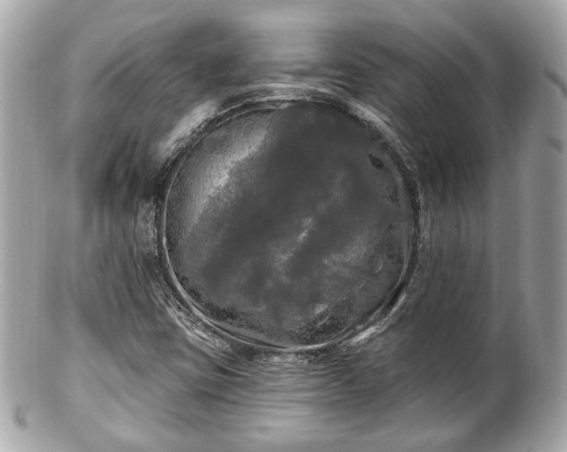 X0000102491403200808151445