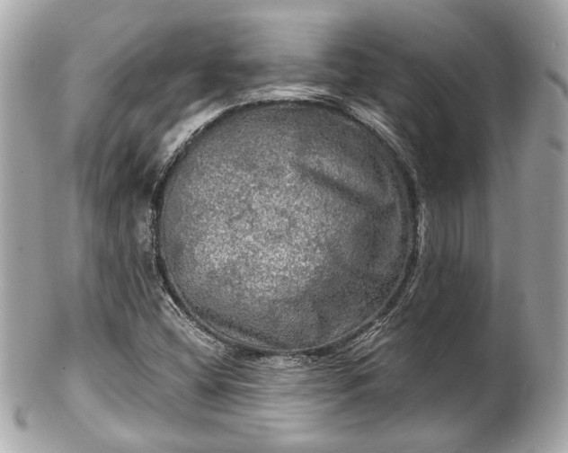 X0000102491404200808151445