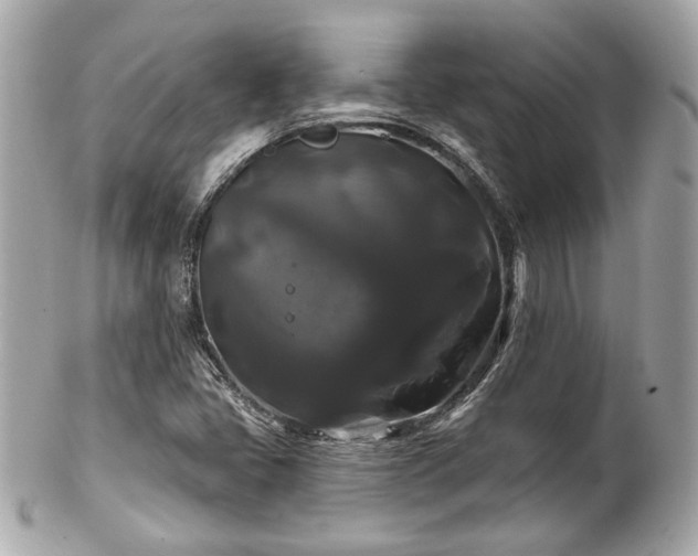 X0000102491405200808151445