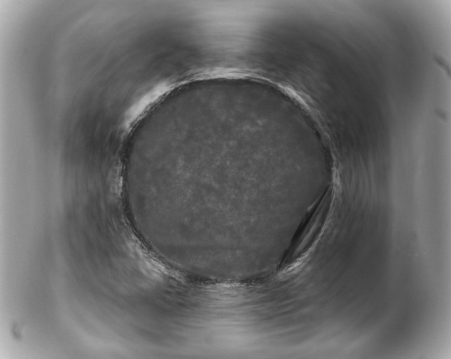 X0000102491406200808151445