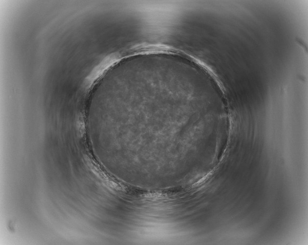 X0000102491407200808151445