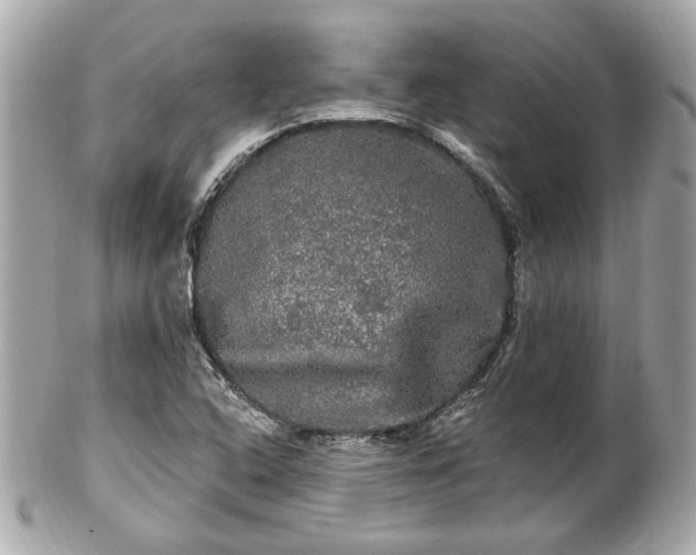 X0000102491408200808151445