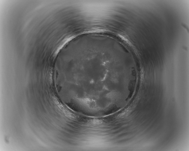 X0000102491409200808151445