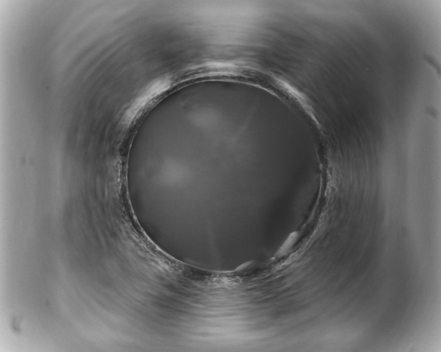 X0000102491411200808151445