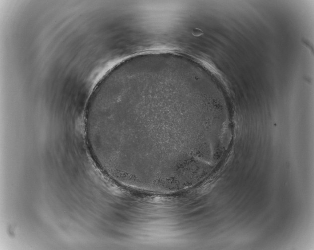 X0000102491412200808151445