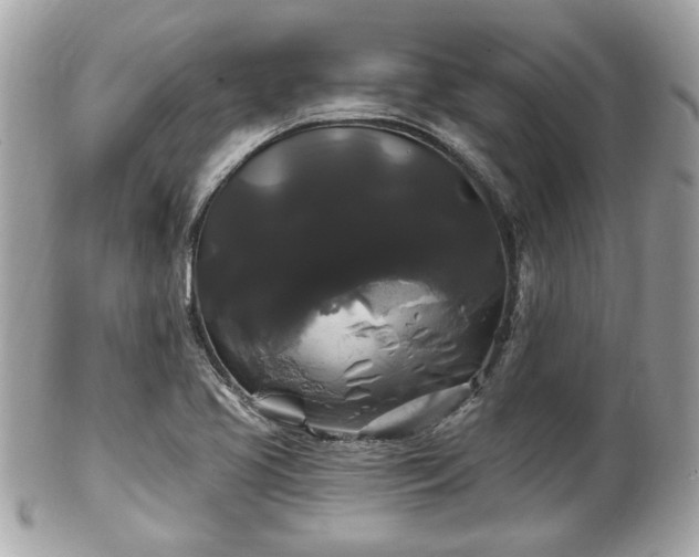 X0000102491413200808151445