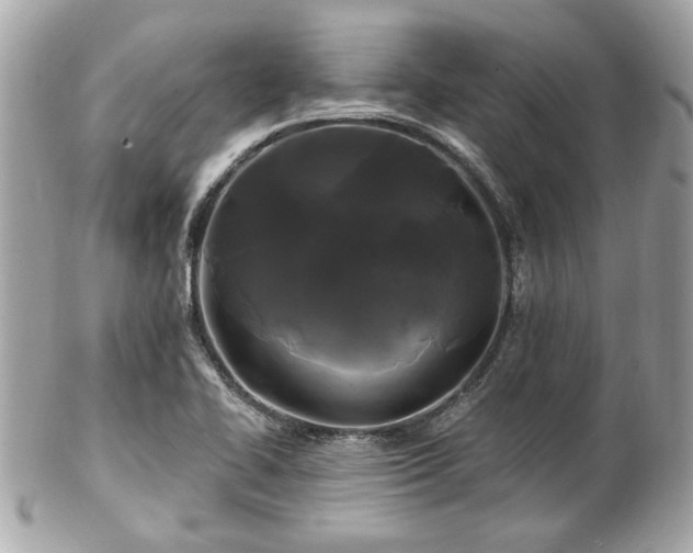 X0000102491414200808151445