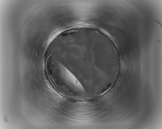 X0000102491415200808151445