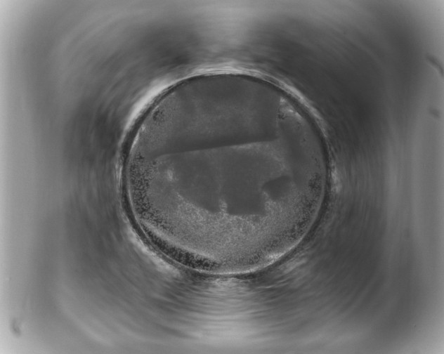 X0000102491416200808151445