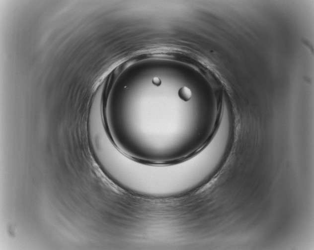 X0000102491417200808151445