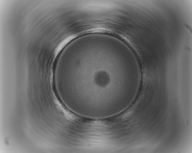 X0000102491418200808151445