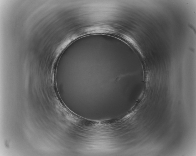 X0000102491419200808151445