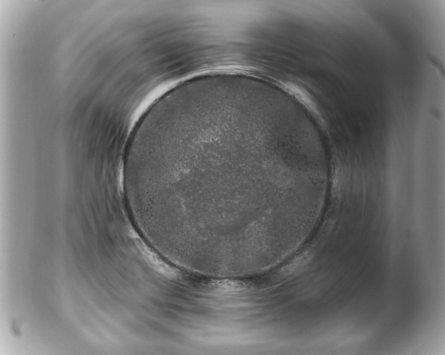 X0000102491420200808151445