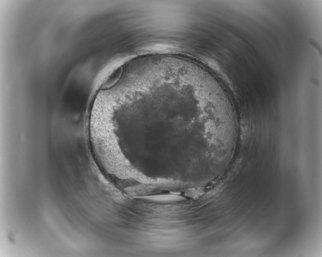 X0000102491421200808151445