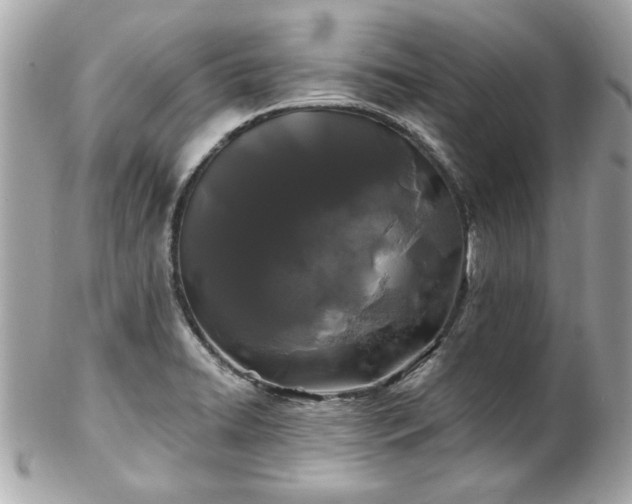 X0000102491422200808151445