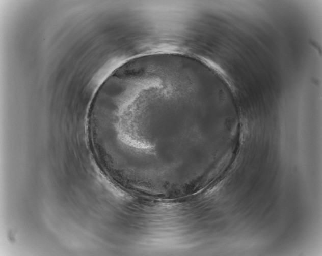 X0000102491423200808151445