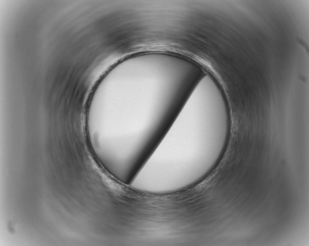 X0000102491424200808151445