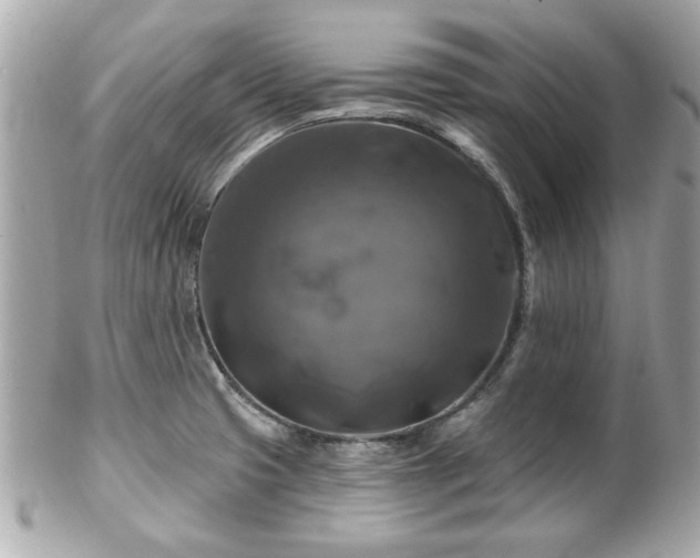 X0000102491425200808151445