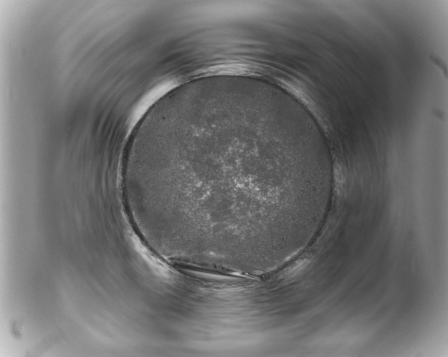 X0000102491426200808151445