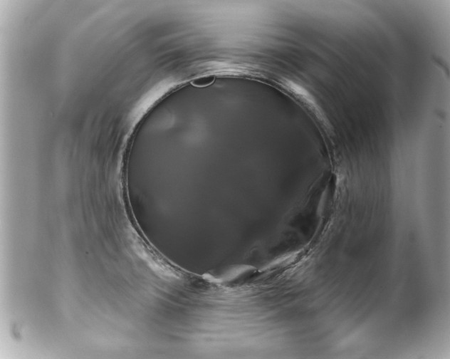 X0000102491427200808151445