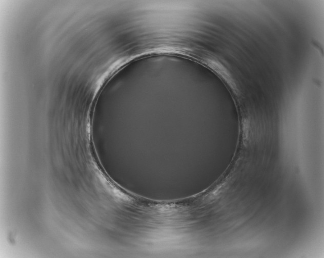 X0000102491428200808151445