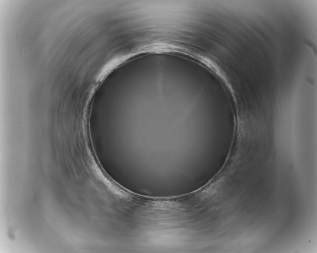 X0000102491429200808151445