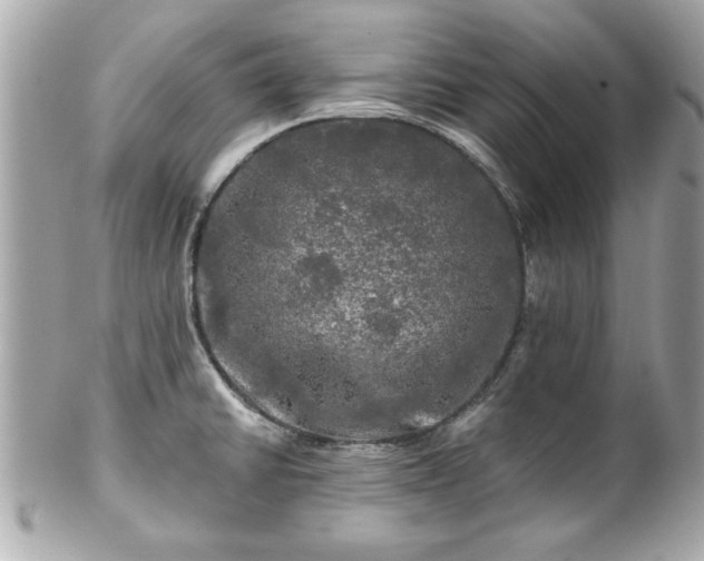 X0000102491430200808151445