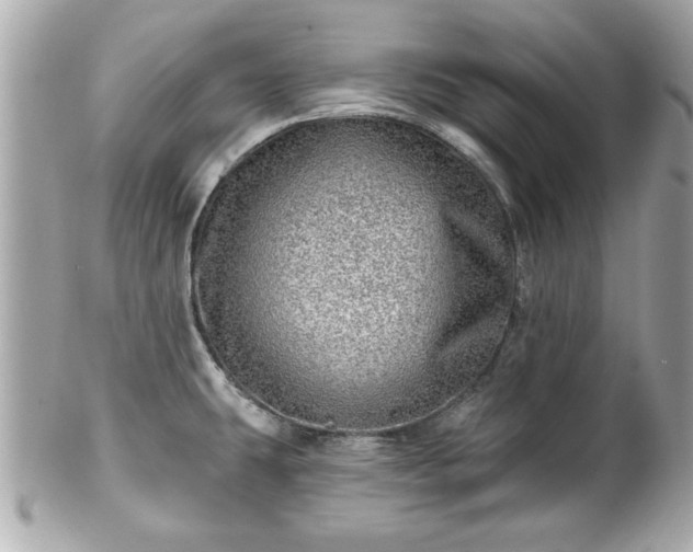 X0000102491431200808151445