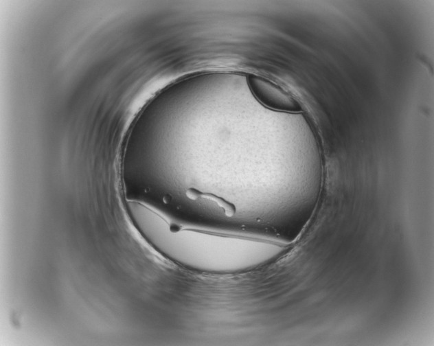 X0000102491432200808151445