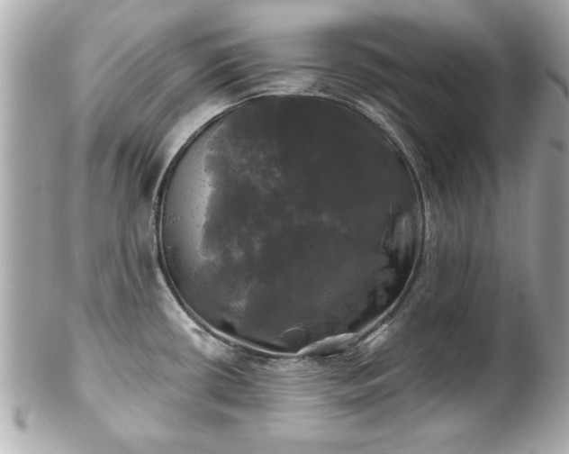 X0000102491434200808151445