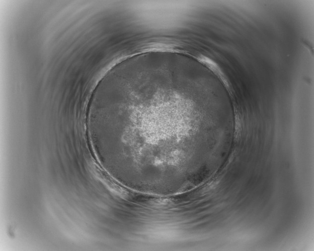 X0000102491435200808151445