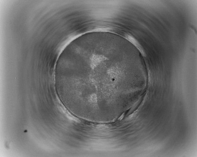 X0000102491436200808151445