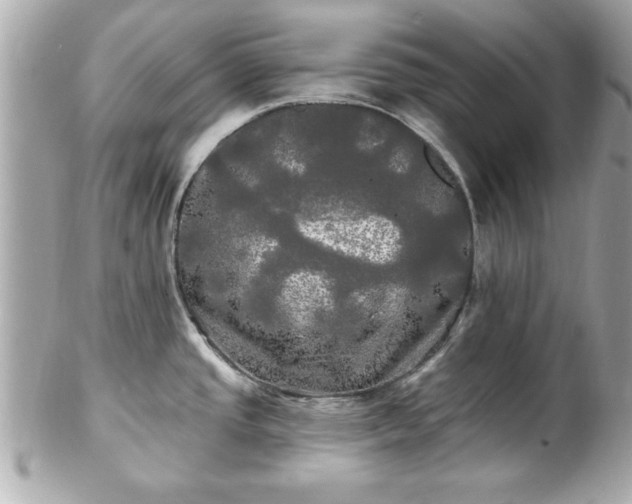 X0000102491437200808151445