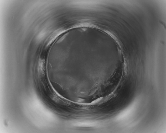 X0000102491438200808151445