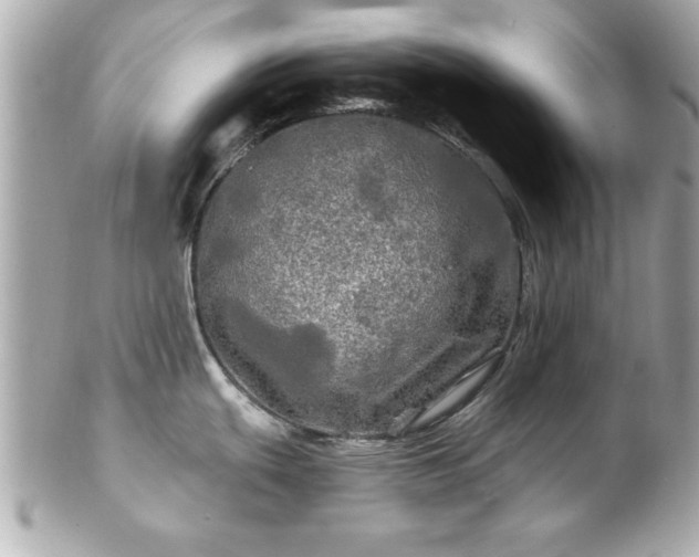 X0000102491439200808151445