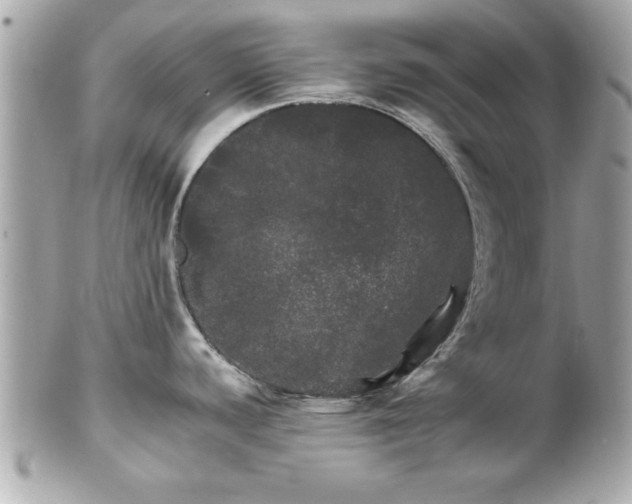 X0000102491440200808151445