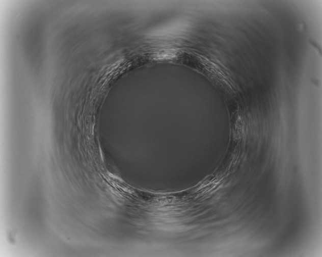 X0000102491441200808151444