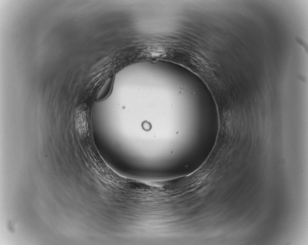 X0000102491442200808151444
