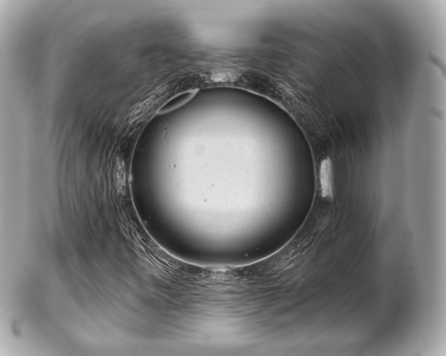 X0000102491443200808151444
